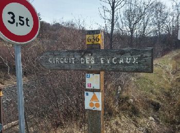 Trail Walking Aspres-sur-Buëch - Circuit des Eygau.(09-03-17) - Photo