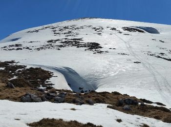 Tocht Sneeuwschoenen Val-de-Sos - 2017 -03 -10 Mont Ceint  - Photo