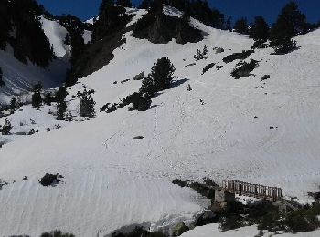 Trail Snowshoes Fontrabiouse - Esposolla Jaca de les Formigues - Photo
