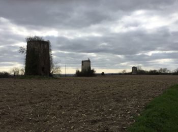 Tocht Stappen Val-des-Vignes - Pereuil - Photo