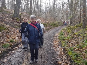Tour Wandern Le Tremblay-sur-Mauldre - rando du 23/03/2017 - Photo