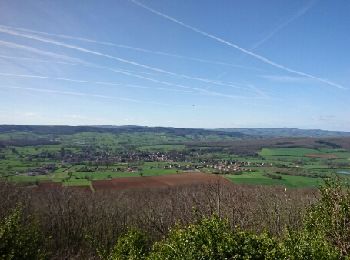 Trail Walking Salornay-sur-Guye - circuit salornay sentier du bois de la roche - Photo