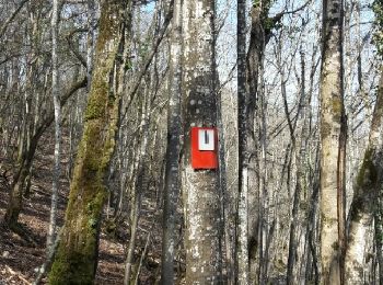 Trail Walking Darois - Entre Darois et Hauteville - Photo