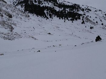 Tour Schneeschuhwandern Eyne - Eyne  Orri de Baix - Photo
