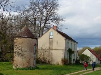 Trail Walking Chailly-en-Gâtinais - Pr des Bourbons - Photo