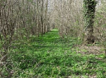 Tocht Andere activiteiten Zinnik - thieusie - Photo