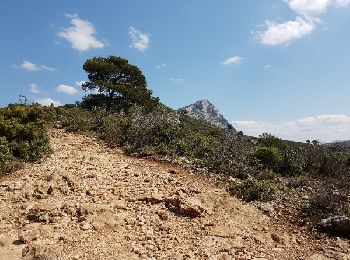 Trail Walking Saint-Antonin-sur-Bayon - Sommet Croix de Provence - Barrage du Bimont - Photo