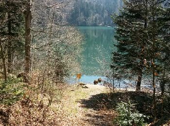 Trail Walking Murbach - murbach ebeneck judenhut grand ballon , lac du ballon, gustiberg, wolfsgrube, murbach - Photo