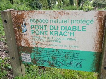 Trail Walking Plouguerneau - pont du diable circuit  - Photo