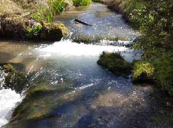 Tocht Stappen Saint-Martin-de-Brômes - Le Payanet au Castrum, Colostre - Photo