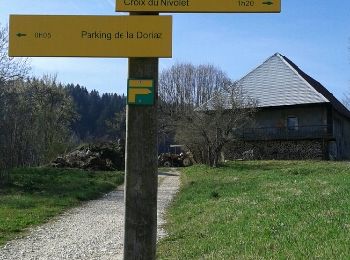 Trail Walking Les Déserts - croix du Nivolet depuis la grange de la paieu - Photo