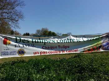 Randonnée Vélo Fontenay-le-Fleury - Rennemoulin  - Photo