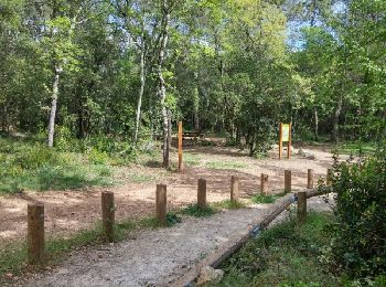 Trail Walking Roquefort-les-Pins - Parc départemental du Sinodon.Roquefort les Pins.(19-04-17)B - Photo