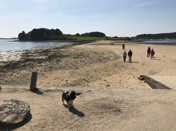 Randonnée Marche Baden - larmor Baden  - Photo