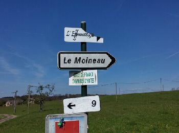 Randonnée Marche Plombières-les-Bains - 2017 04 27 plombières - Photo