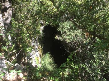 Tocht Stappen Berrias-et-Casteljau - aven de l'assiette au bois de Paiolive - Photo