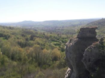 Excursión Senderismo Cormot-Vauchignon - Crêtes autour de Cormot, plateaux et vue sur la vallée d'Orche - Photo