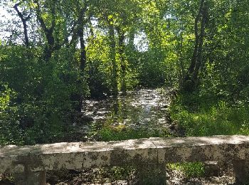 Tour Wandern Lussan - Les Concluses Lussan + - Photo