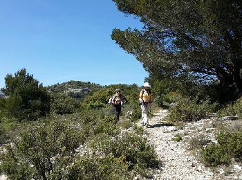 Trail Walking Cheval-Blanc - combe de lieues  - Photo