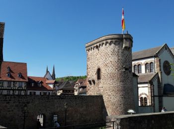 Randonnée Marche Obernai - Le Piémont du Mont Sainte-Odile - Photo