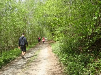 Trail Walking Fosses-la-Ville - Balade à Sart-Eustache - Photo