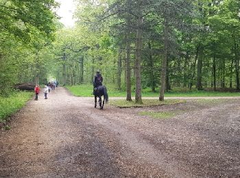 Trail Walking Bois-d'Arcy - rando du 04/05/2017 - Photo