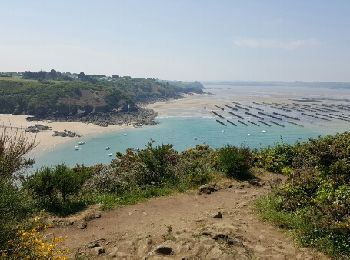 Tour Wandern Saint-Cast-le-Guildo - pointe du Bay.... plage  de  la Fresnais A. Rien.  - Photo