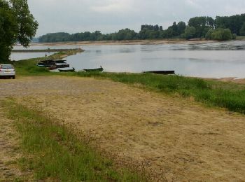Trail Walking Vair-sur-Loire - 2017-05-11 Les Cosniers VO - Photo