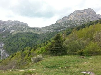 Excursión Senderismo Varces-Allières-et-Risset - Le Pic St Michel depuis de Plateau St Ange - Photo