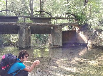 Tour Wandern Saint-Zacharie - autour de Saint Jean du puy  - Photo