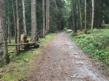 Trail Other activity Monlet - lac Malaguet - Photo