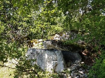 Excursión Bici de montaña Brengues - Brengyes 2017 41km 1000d+ - Photo