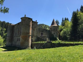 Tour Wandern Saint-Sauveur-Camprieu - LSG BRAMABIU - Photo