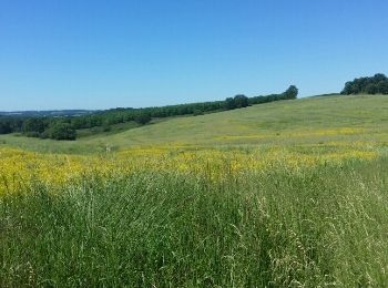 Percorso Marcia Bors-de-Montmoreau - Bord de Montmoreau  - Photo