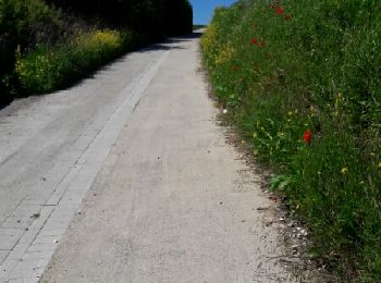Trail Walking Escalles - boucle L'escale cap blanc nez Wissant L'escale  - Photo