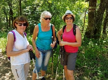 Trail Walking Châteldon - CLD-GM le 13-06-2017 - Photo