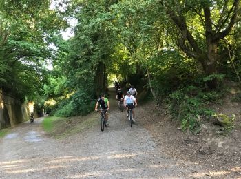 Excursión Bici de montaña Visé - 20170621 MiJo Julienne  - Photo