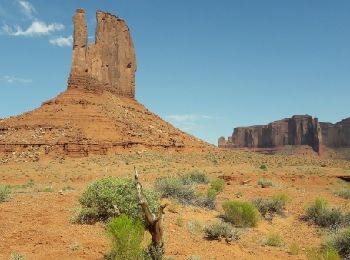 Trail Walking  - monument valley - Photo