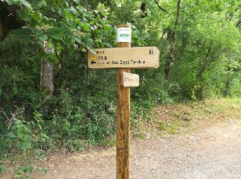 Tour Wandern Montricoux - marche du trail des garrigues - Photo