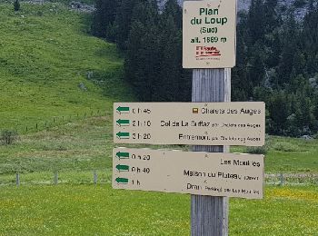 Trail Walking Fillière - Plateau de Gliere - Photo