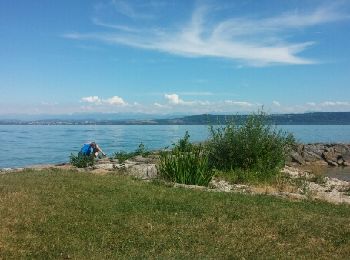 Percorso Altra attività Estavayer - lac de Neuchâtel en Paddle - Photo