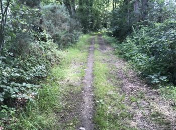 Trail Walking Chauvigné - 04.07.2017 - CHAUVIGNÉ à ST MARC LE BLANC Corrigé - Photo