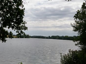 Tour Wandern Chemillé-sur-Indrois - Petit circuit du Moulin des Roches - Photo