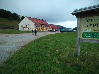 Trail Walking Jungholtz - Ste Anne- Ferme du Ballon'13/7/2017) - Photo