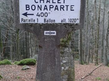 Trail Walking Saint-Maurice-sur-Moselle - le 'demi-tour' du Ballon d'Alsace  - Photo