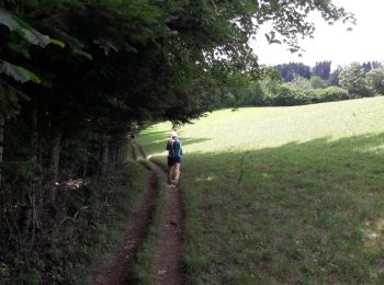 Trail Walking Villers-le-Lac - Le saut du Doubs et le Châtelard - Photo