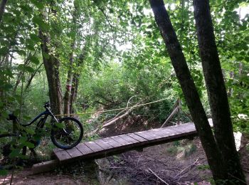 Excursión Bici de montaña Lavours - Ceyzérieu - Le marais de  Lavours - Photo