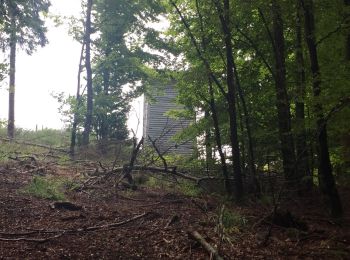 Tour Nordic Walking Grendelbruch - Du Col du Bruchberg au Struthof - Photo