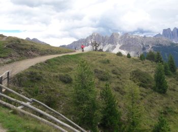 Percorso Marcia Bressanone - Dolomiten Panoramaweg - Photo