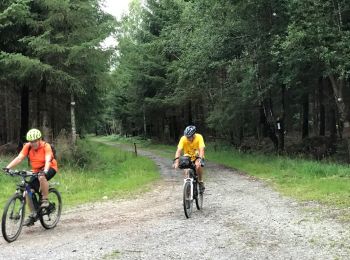 Trail Mountain bike Jalhay - 20170726 Pivert à Solwaster  - Photo